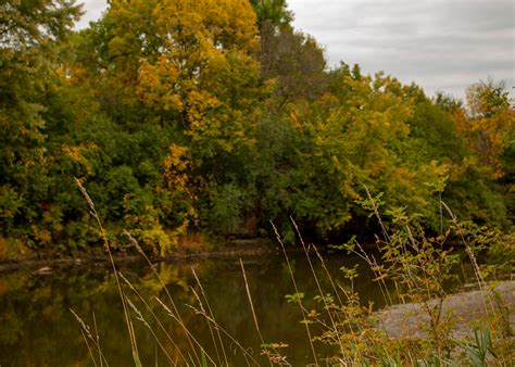 PHOTOS: Leaves changing colors in Sioux Falls | KELOLAND.com