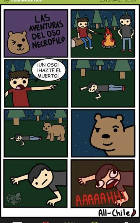 Oso Necrofilico XD Que Suerte Tienen Algunos Fapfap Nowkiss Meme