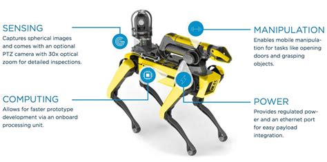 Boston Dynamics Spot Robot Dog Goes On Sale Ieee Spectrum