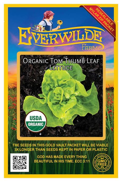 Everwilde Farms 500 Organic Tom Thumb Leaf Lettuce Seeds Gold Vault Jumbo Bulk Seed Packet