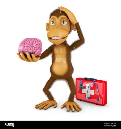 Monkey brain hi-res stock photography and images - Alamy