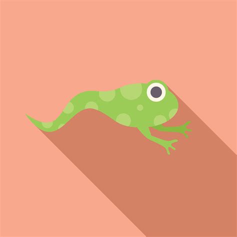 Tadpole is swimming and turning into a frog icon 47630393 Vector Art at ...