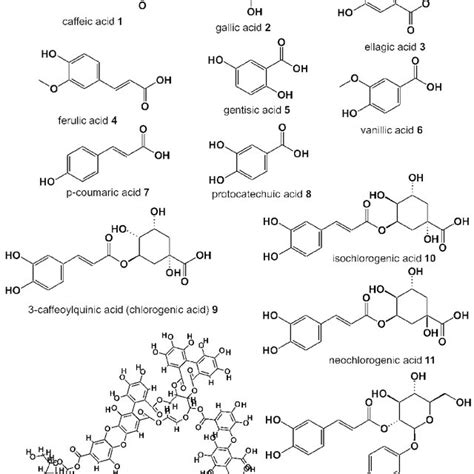 Structures of the most common phenolic acids and acid derivatives of... | Download Scientific ...