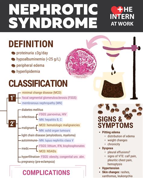 Nephrology — Infographics — The Intern at Work