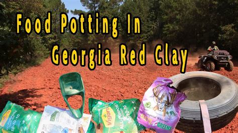 Georgia Red Clay Food Plot Time Youtube