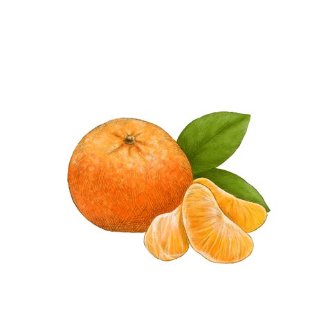 Mandarin Orange | Roundglass Living