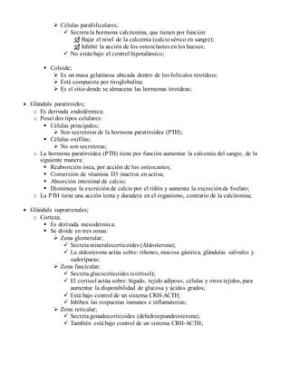 Resumen De Histolog A Del Sistema Endocrino Histolog A De Ross Ma Ed