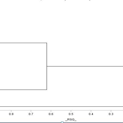 Dendrogram Showing The Phylogenetic Relationships Among The Fourteen