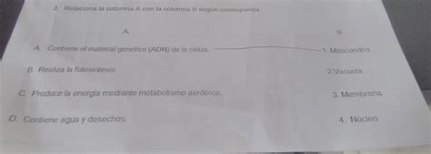 Relaciona La Columna A Con La Columna B Brainly Lat