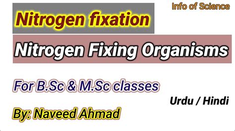 Nitrogen Fixation Nitrogen Fixing Bacteria Nodule Formation In Urdu