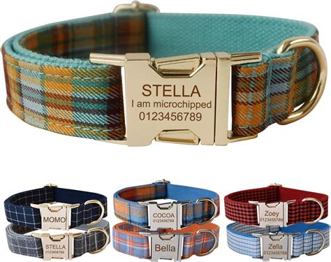 14 Best Personalized Dog Collars