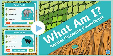 'What Am I?' Guessing Game Cards Animal Themed - Twinkl