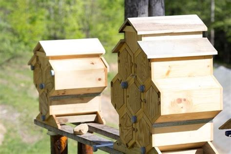 Modular Hexa Hives Claimed To Be Better For Your Bees