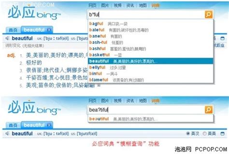 必应词典和微软翻译微软必应词典怎么样啊 随意云