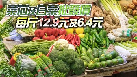 16日內地供港蔬菜2700公噸 鮮活食品供應充足穩定 香港商報