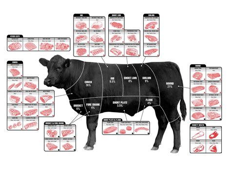 Beef Cuts Chart Printable - Printable Calendars AT A GLANCE