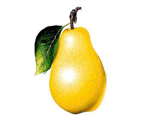 Pear Hd Wallpaper Peakpx