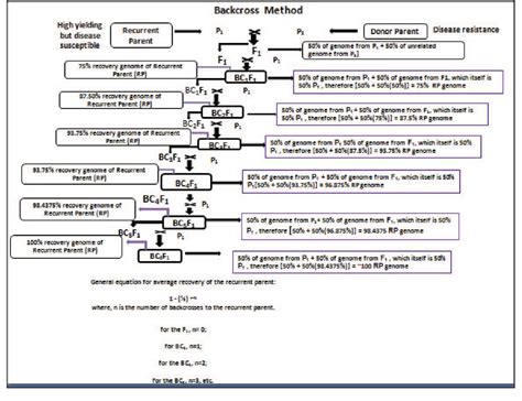 Figure From Review Agriculture And Environmental Biotechnology