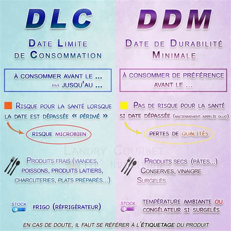 DLC et DDM comprendre facilement la différence Landry Courbet