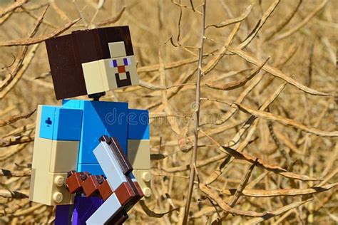 Minecraft De Lego Gran Figura De Steve Sonriendo A Semillas Secas