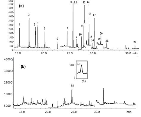 A Representative Chromatogram Of 21 Ocps Standard Mixture Spiked In Download Scientific