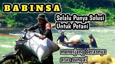 Aksi Heroik Babinsa Menerjang Derasnya Arus Sungai Komando Kkb Youtube