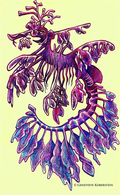 Leafy sea dragon by honey-art on deviantART | Leafy sea dragon, Sea ...