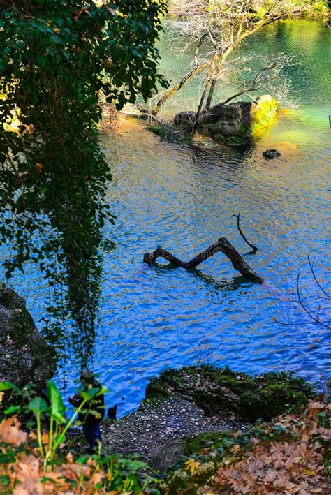 Green Lake Stock Photo Image Of Stream Park Landscape 49822690