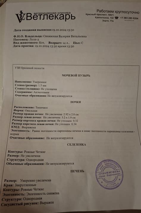 женский форум - Новая тема