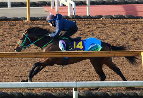 【朝日杯fs】トータルクラリティ 希望通りの枠で2歳マイル王へ 大下助手「順調です」（デイリースポーツ） Yahooニュース