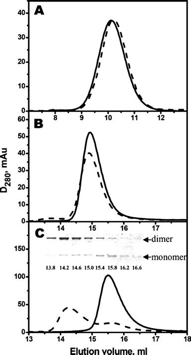 Size Exclusion Chromatography Of Reduced Solid Line And Oxidized