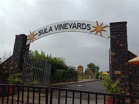 Sula Vineyard Nashik What To Expect Timings Tips Trip Ideas