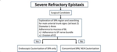 Flow diagram for surgical management of severe epistaxis. SPA ...