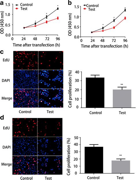 High Expression Of Hsa Circ 0055538 Inhibits OSCC Cell Proliferation