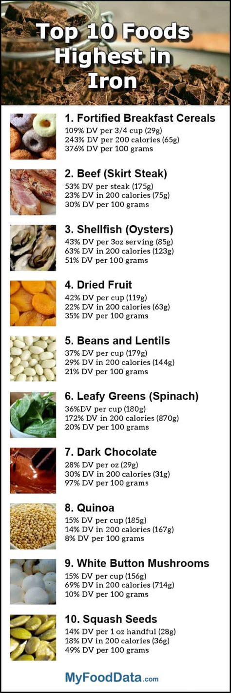 Iron Rich Foods List | Examples and Forms