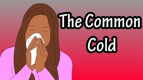 Common Cold Causes Symptoms And Treatment Healthtian