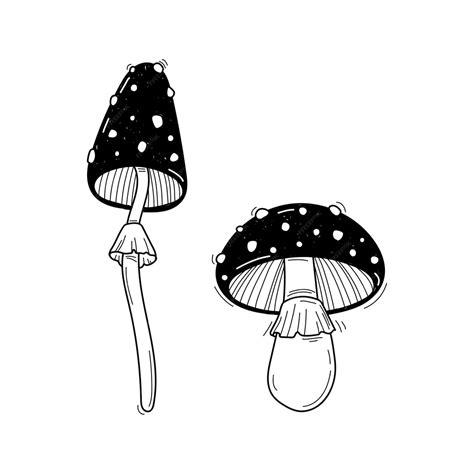 Premium Vector Vector Hand Drawn Two Mushrooms Sketch Isolated On