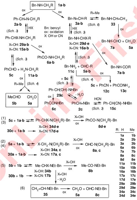 Scheme Mechanism Of The Oxidation Of Secondary Amines A And B As