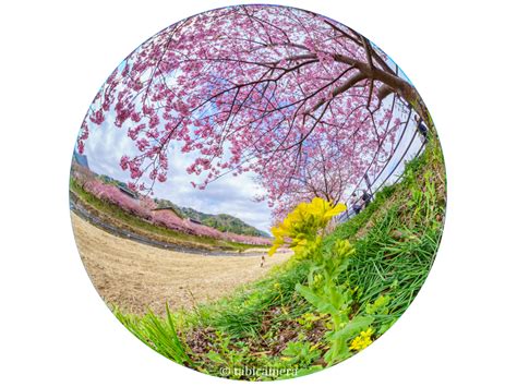 円周魚眼レンズ（360度カメラ）での写真撮影方法・構図・トリミングのポイント 旅かめら