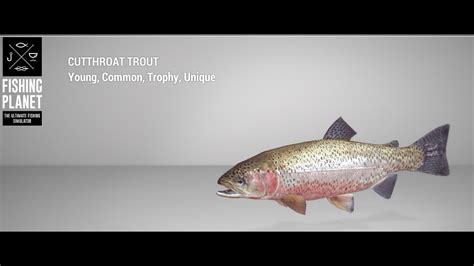 Fishing Planet Rocky Lake Unique Cutthroat Trout Spin Youtube