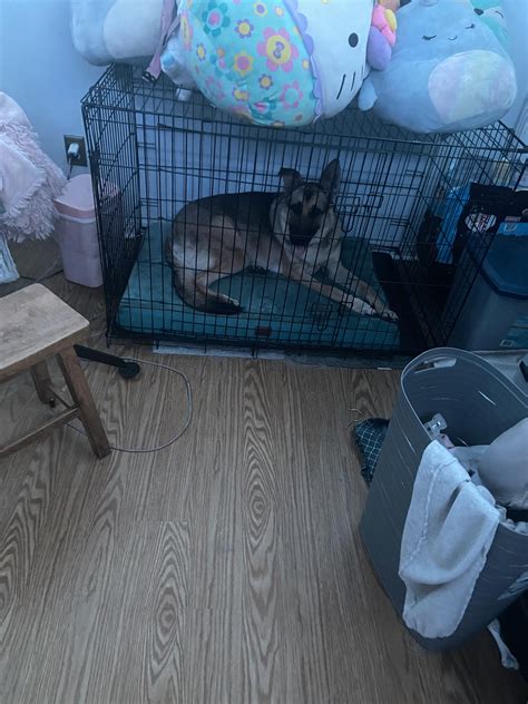 Recommendations for food additives for dry itchy skin? She is always