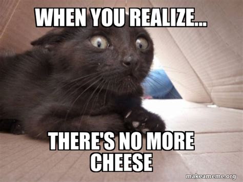 when you realize... there's no more cheese - Schitzo Cat Meme Generator 