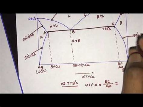 Lever Rule Eutectic Phase Diagram Lever Diagrams Determine C