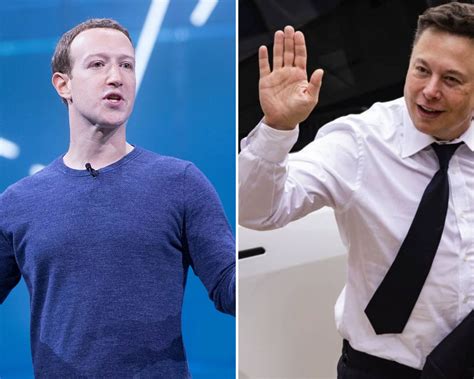 Elon Musk Diz Que Luta Mark Zuckerberg Ser Transmitida Ao Vivo No