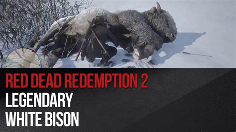 Red Dead Redemption 2 Legendary White Bison Youtube