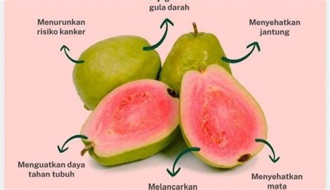 Manfaat Jambu Biji Merah