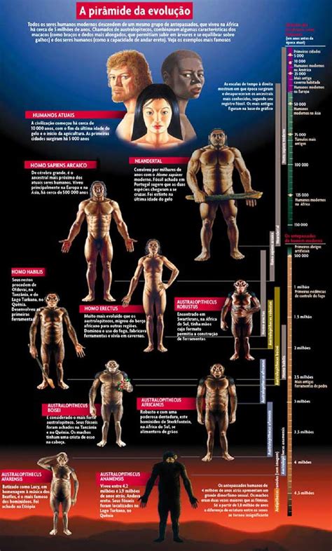 Do Homem Sapiens Ao Homem Moderno - A evolução do homem moderno