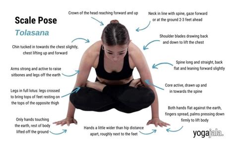 Harness The Power Of Half Body Pose For Enhanced Flexibility And