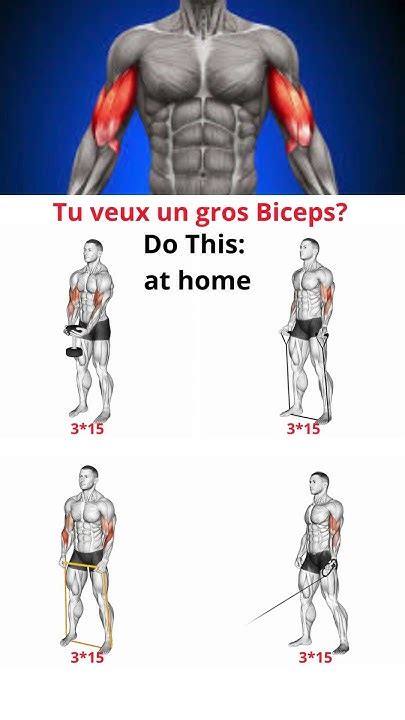 Exercices Biceps At Home تمارين العضلة ذات الرأسين في المنزل Sport Santé Motivation Shorts