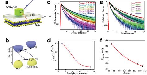 Optical Signatures Of Charge And Energy Transfer In Tmdc Tmdc And Tmdc Perovskite